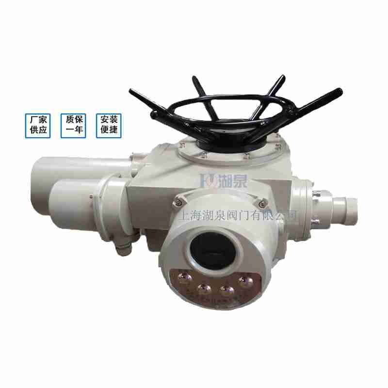 閥門電動(dòng)裝置（dzw05,10,20，30,45,60，90,12