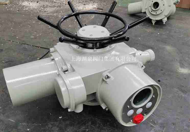 DZW90-24T閥門(mén)電動(dòng)裝置