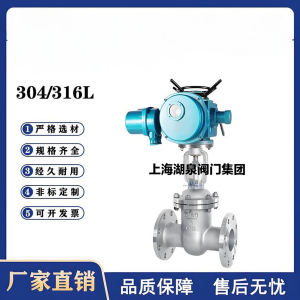 Z941W-16P，DN250，CF8/F304不銹鋼電動(dòng)閘閥