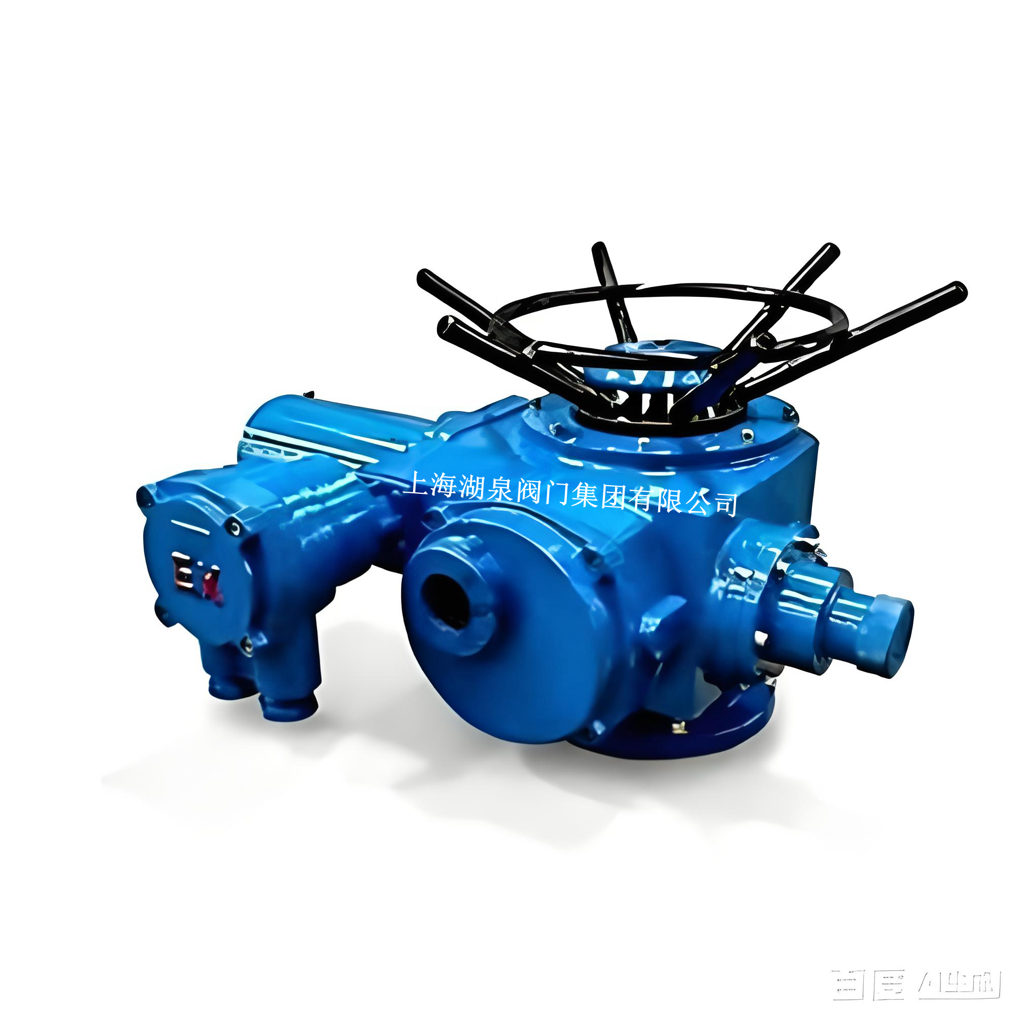 DZW120-18防爆型閥門電動(dòng)裝置(電壓等級：